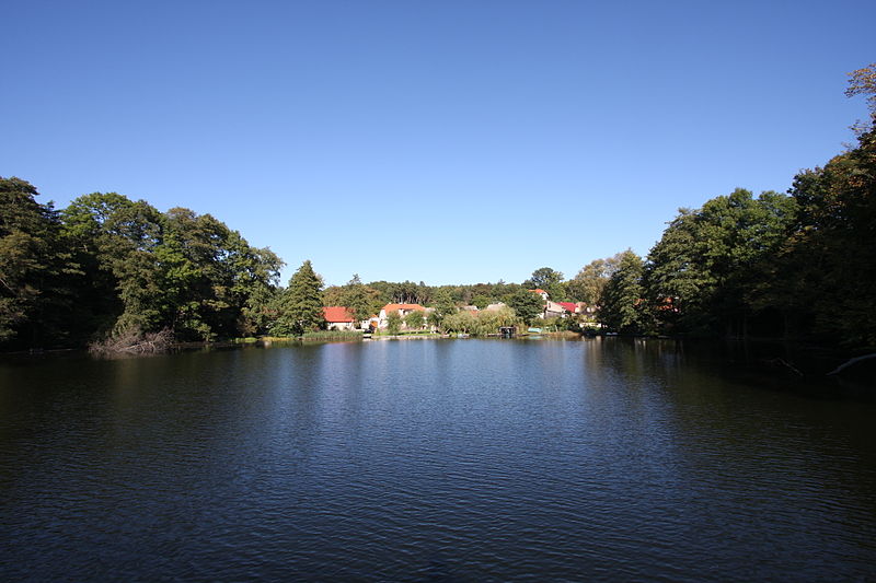 Lubniewice Lubniewice