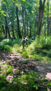 WhatsApp Image 2022-07-19 at 23.42.40